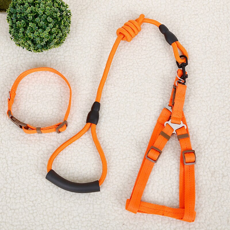 Large Pets Traction Rope 2-Piece Set