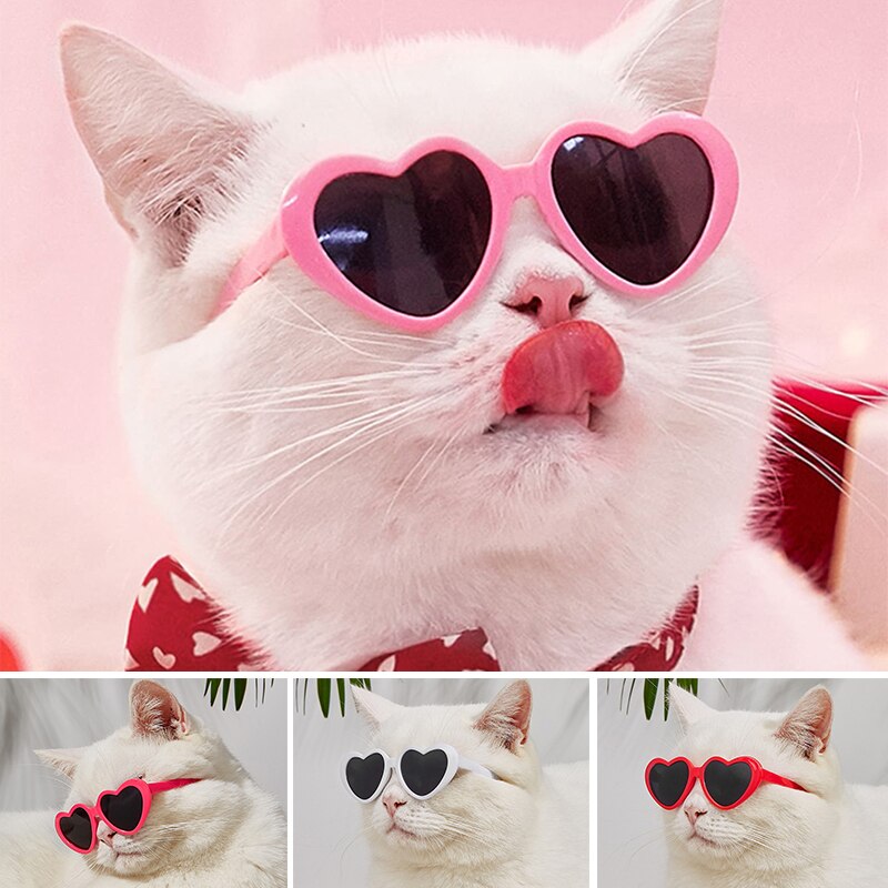 Pet Funny Sunglasses
