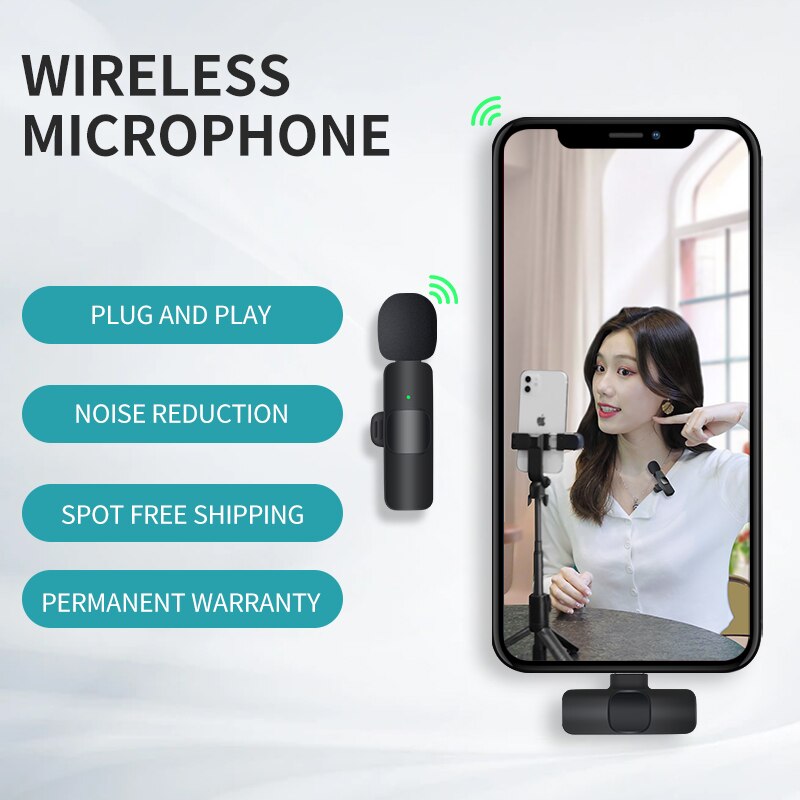 Wireless Portable Microphone